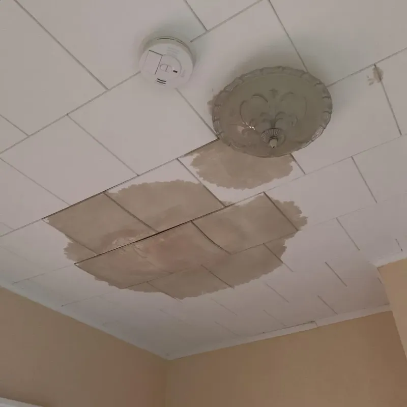 Ceiling Water Damage Repair in Afton, OK